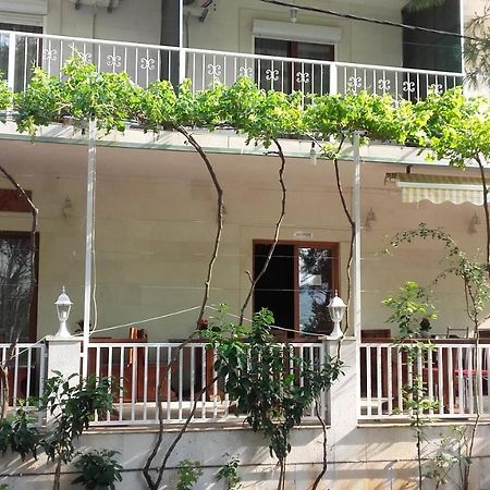 Villa Mateja Donji Okrug  Dış mekan fotoğraf