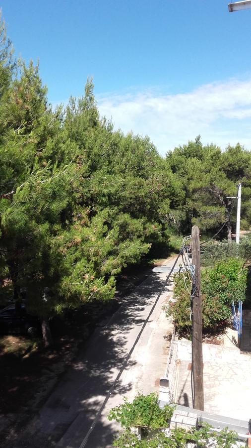 Villa Mateja Donji Okrug  Dış mekan fotoğraf