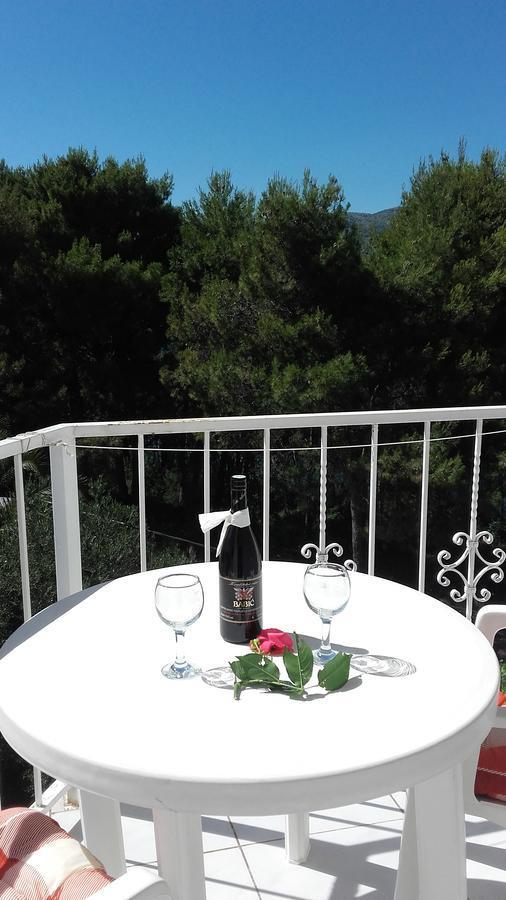 Villa Mateja Donji Okrug  Dış mekan fotoğraf