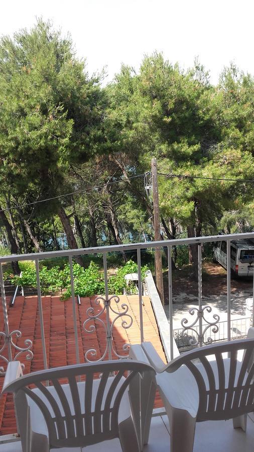 Villa Mateja Donji Okrug  Dış mekan fotoğraf