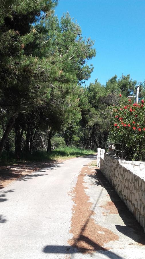 Villa Mateja Donji Okrug  Dış mekan fotoğraf