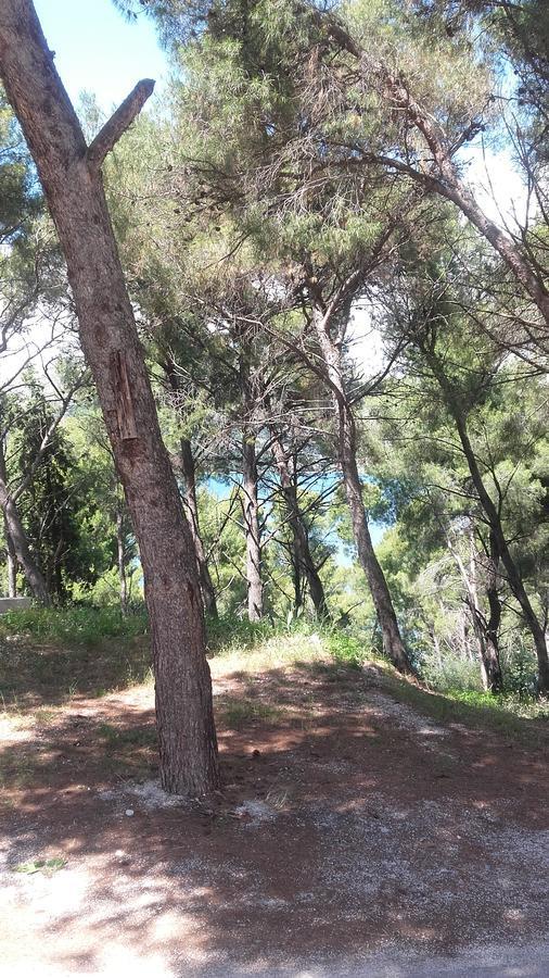 Villa Mateja Donji Okrug  Dış mekan fotoğraf