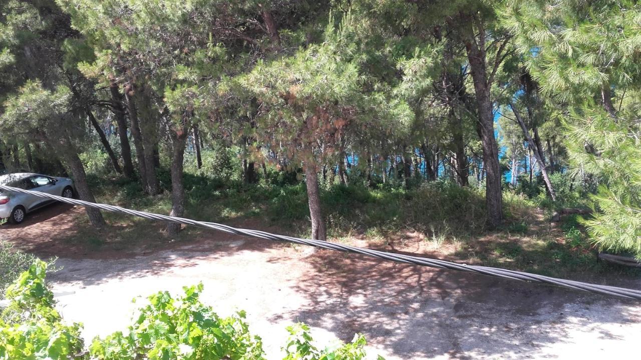 Villa Mateja Donji Okrug  Dış mekan fotoğraf