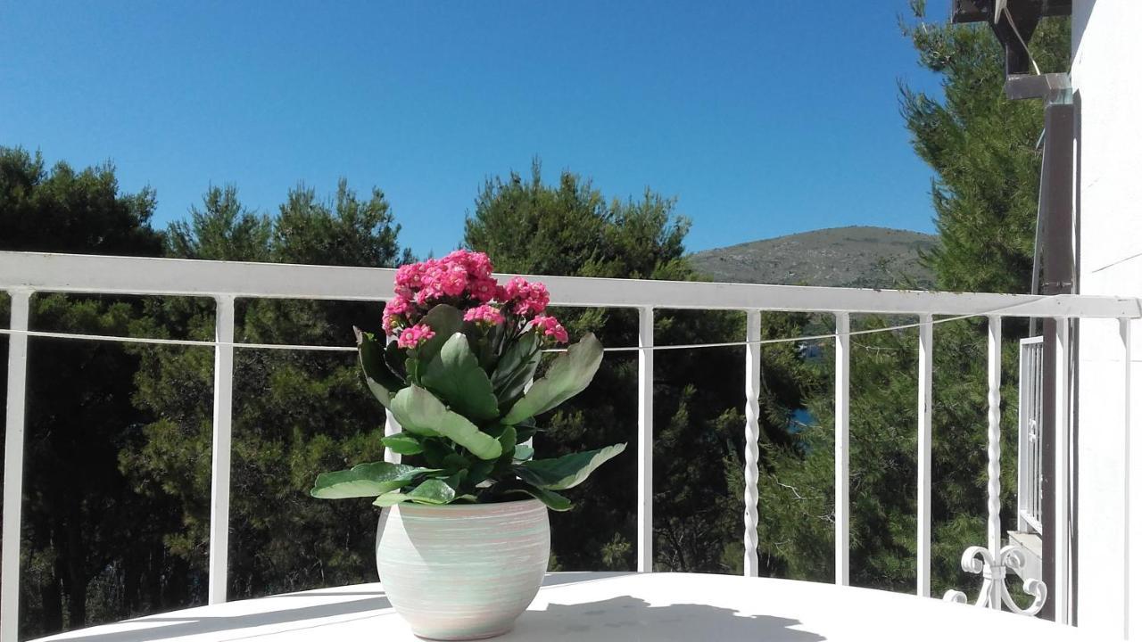 Villa Mateja Donji Okrug  Dış mekan fotoğraf