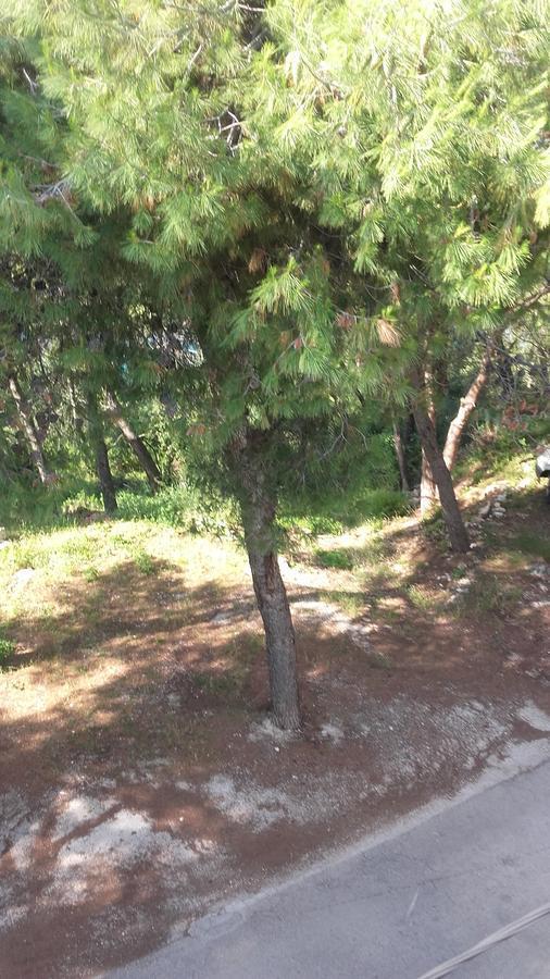 Villa Mateja Donji Okrug  Dış mekan fotoğraf
