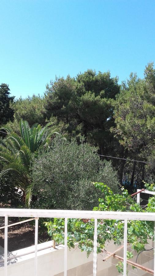 Villa Mateja Donji Okrug  Dış mekan fotoğraf