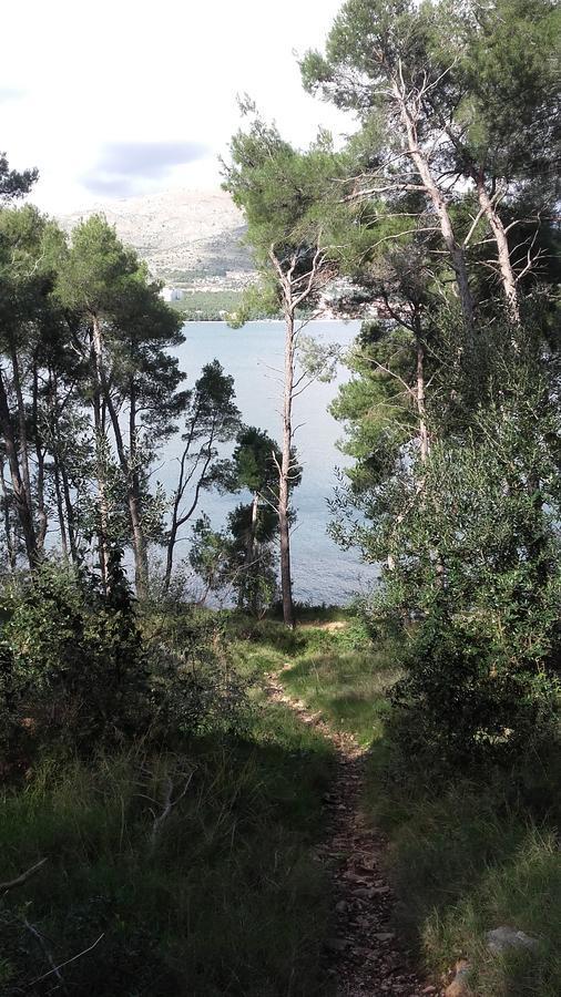 Villa Mateja Donji Okrug  Dış mekan fotoğraf